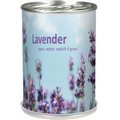 Grow Can-Lavender